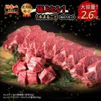 鳥取和牛 極上ヒレ1本まるごと味わうセット