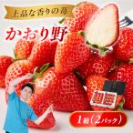 ★予約受付★渡邉農園 産いちご かおり野