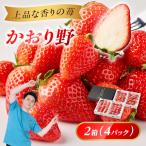産いちご かおり野DX フルーツ かおり野
