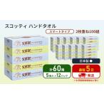 ふるさと納税 ペーパータオル スコッティ キレイの仕上げ 60箱 ( 5箱 × 12パック )  宮城県岩沼市