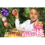 ふるさと納税 内田フルーツ農園の桃 4〜7玉（約2kg）【2025年発送】（UF）B-161【 もも 令和7年発送 期間限定 山梨県産 甲州市 フルーツ 果物】 山梨県甲州市