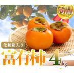 和歌山秋の味覚 富有柿 約4kg化粧箱入