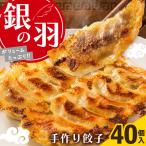 手づくり餃子 銀の羽 40個入