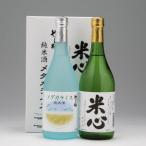 ふるさと納税 やまと桜　純米酒セット（720ml×2本） 山形県庄内町