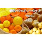 柑橘バラエティーセット 5kg