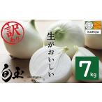 ショッピングふるさと納税 玉ねぎ ふるさと納税 (2026年発送)訳あり 新玉ねぎ 生がおいしい 神重農産のブランド玉ねぎ「旬玉」7kg ブランド玉ねぎ 玉ねぎ 国産 愛知県産 野菜 やさ.. 愛知県碧南市