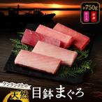 ワンランク上の天然目鉢鮪中とろ 赤身セット 750g