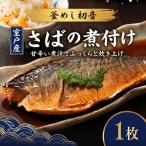 室戸さば 煮付け 半身1枚 さば HN