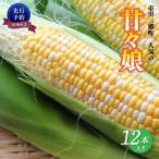 絶品 甘々娘 とうもろこし 12本入り