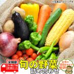 旬の野菜詰め合わせセット3ヶ月に1回