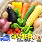 旬の野菜詰め合わせセット 隔月に1回 計6回コース