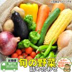 旬の野菜詰め合わせセット 毎月1回 計12回コース