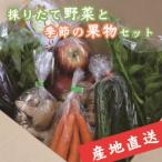 採りたて野菜と季節の果物セット