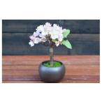 ミニ桜盆栽 造花 GF-006