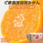 ふるさと納税 【ご家庭用訳あり】田村みかん 10kg ※2025年11月下旬?2026年1月下旬頃に順次発送予定 和歌山県美浜町