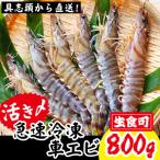 活き〆急速冷凍車エビ 生食可 約800g