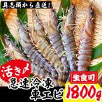 活き〆急速冷凍車エビ 生食可 約1800g