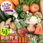 12回 野菜定期便 野菜セット