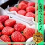 ふるさと納税 いちご いちごの王様 あまおう&かおりの 各1パック セット (280g×2) イチゴ 苺 果物 デザート ベリー畑 福田ファーム ※配送.. 福岡県小郡市