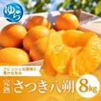 完熟さつき八朔 8kg