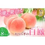 ふるさと納税 和歌山県産 白鳳 桃 5〜8玉入り 秀品 先行予約【2025年6月下旬以降発送】【MG6】【mtgn053】 和歌山県由良町