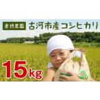 コシヒカリ15kg 新米 米 こめ コメ こしひかり