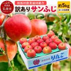 りんご 訳あり サンふじ 約5kg
