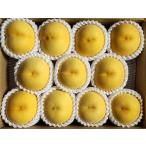 ふるさと納税 【数量限定】桃(黄貴妃)3kg 特秀品 0106-2504 山形県上山市