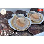 ふるさと納税 【国内消費拡大求む】先行予約 北海道 サロマ湖産 貝付き ホタテ 10枚 帆立 ほたて 刺身 海鮮 魚介 国産 殻付き 冷蔵 オホーツク .. 北海道湧別町