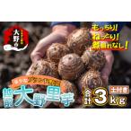 越前大野里芋 3kg