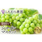 ふるさと納税 ぶどう 朝採り シャインマスカット 約2kg 3〜4房入 種無しぶどう 愛知県大府市