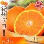 特選 濃厚 不知火 通称デコポン 約3kg+200g