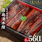 ふるさと納税 国産 うなぎ 蒲焼 4尾 霧島湧水鰻の蒲焼き 140g以上×4尾＜計560g以上＞ うなぎ 鰻 ウナギ 国産 九州産 蒲焼き 【志布志市.. 鹿児島県志布志市