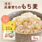 兵庫育ちのもち麦 5kg