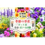 季節の草花 詰め合わせ 年3回定期便 園芸