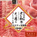 牛肉 モモ 定期便 産黒毛和牛 おおいた和牛
