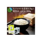 ふるさと納税 B01013　ヒノヒカリ金芽米4.5kgと紫黒米（古代米）300g 大分県大分市