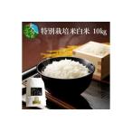 ふるさと納税 特別栽培米ぴかまる白米 10kg 大分県大分市