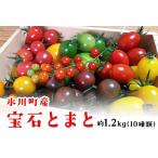 ミニトマト 宝石とまと 1.2kg