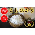 Y181 令和8年産 特別栽培米コシヒカリ10kg