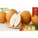 Y032 王秋梨 特秀 3kg