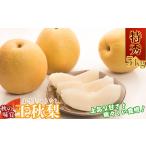 Y034 王秋梨 赤秀 5kg