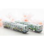 鉄道模型 若桜鉄道WT3000形2両セット
