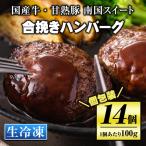 isa172 牛 甘熟豚南国スイート合挽きハンバーグ 14個