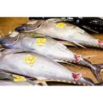 沖縄美ら海まぐろ 2Kg