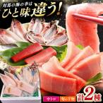 対馬産 本マグロ 中トロ 300g