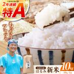 新米 はるみ 10kg