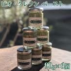ビオクレソンペースト 90g×6個