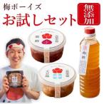 梅干し 天日塩漬け 紫蘇漬け 各280g×1パック