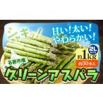 アスパラガス 約 1kg